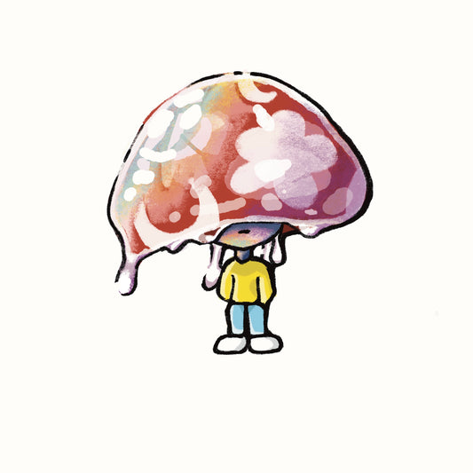Mushroom Boy